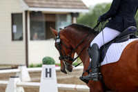 2025 - Dressage Festival - Sunday July 6th - 13156