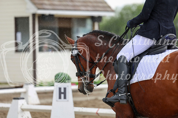 2025 - Dressage Festival - Sunday July 6th - 13156