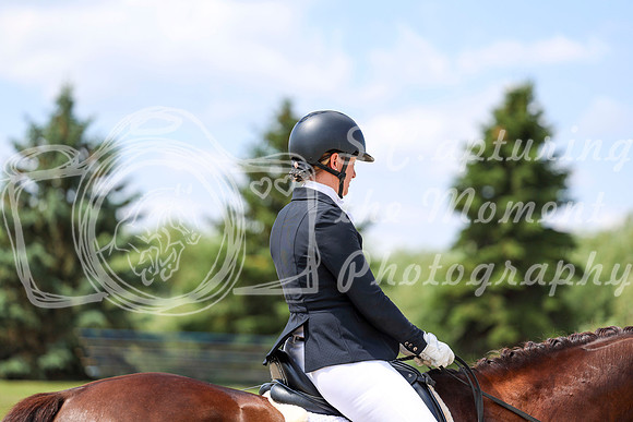 2025 - Dressage Festival - Saturday July 5th - 08470