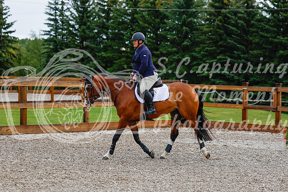 2025 - Haylee - Picco Horse Show - Friay July 25th 00020