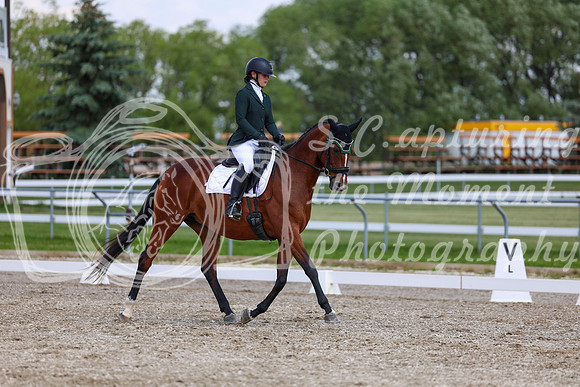 2025 - Dressage Festival - Saturday July 5th - 09511