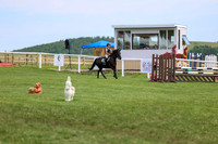 2025 - Shea - Teesdale - Thursday July 24th - 03812