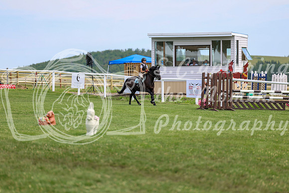 2025 - Shea - Teesdale - Thursday July 24th - 03812