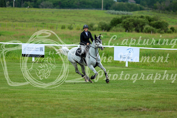 2025 - Shea - Teesdale - Saturday July 26th - 03555