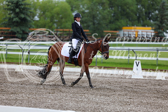2025 - Dressage Festival - Sunday July 6th - 05559