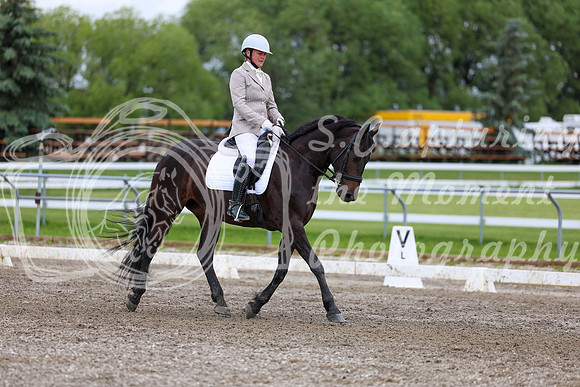 2025 - Dressage Festival - Sunday July 6th - 10455
