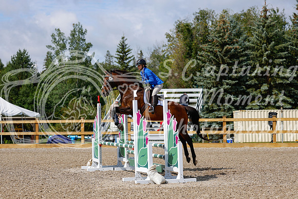 2025 - Haylee - Picco Horse Show - Sunday July 27th 02440