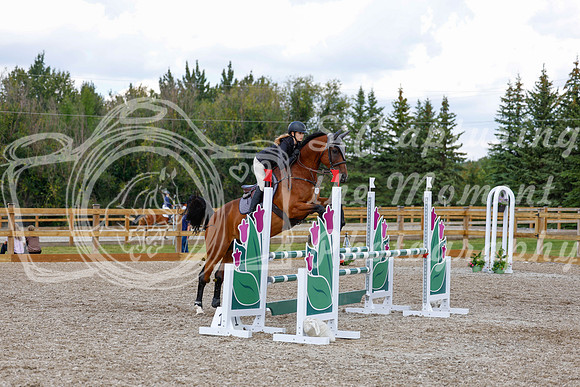 2025 - Haylee - Picco Horse Show - Saturday July 26th 06835