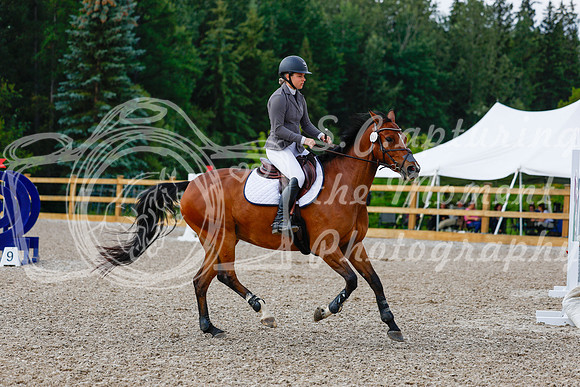 2025 - Haylee - Picco Horse Show - Sunday July 27th 02558