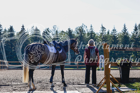 2025 - Haylee - Picco Horse Show - Thursday July 24th 00018