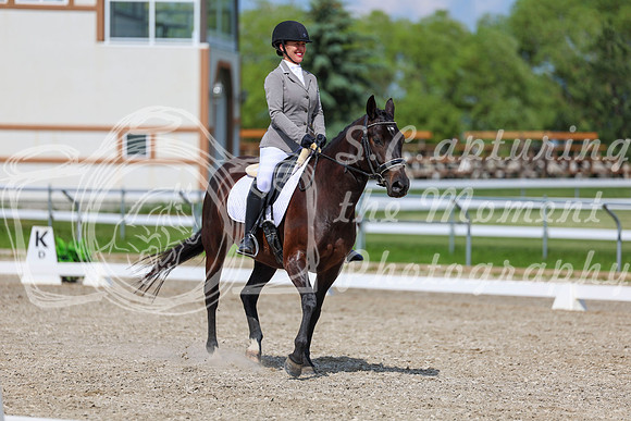 2025 - Dressage Festival - Saturday July 5th - 14612