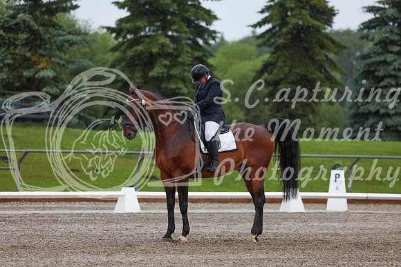 2025 - Dressage Festival - Sunday July 6th - 00354