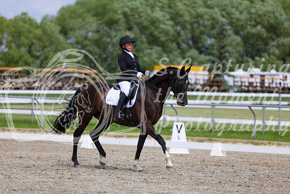 2025 - Dressage Festival - Saturday July 5th - 11405