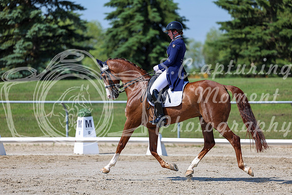 2025 - Dressage Festival - Saturday July 5th - 04258