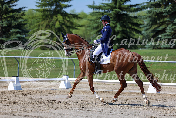2025 - Dressage Festival - Saturday July 5th - 04267