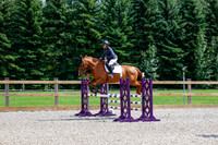 2025 - Haylee - Picco Horse Show - Sunday July 27th 04300