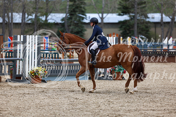 2025 - Shea - Bow Valley II - Friday May 16th - 07840