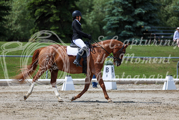 2025 - Dressage Festival - Saturday July 5th - 10142