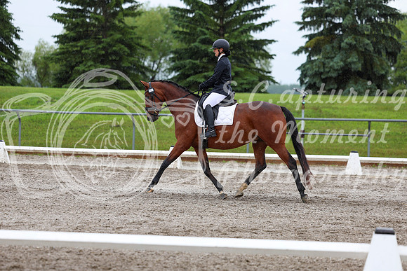 2025 - Dressage Festival - Sunday July 6th - 07809