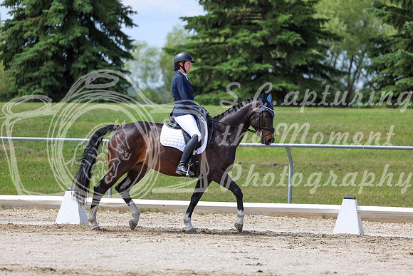 2025 - Dressage Festival - Saturday July 5th - 07554