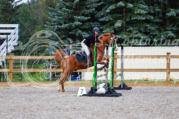 2025 - Haylee - Picco Horse Show - Sunday July 27th 02177