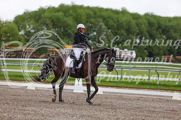 2025 - Dressage Festival - Sunday July 6th - 01483