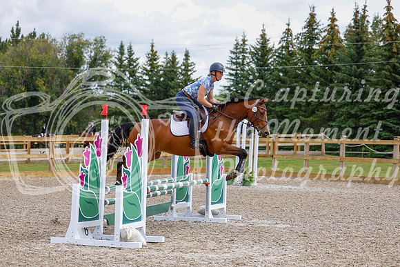 2025 - Haylee - Picco Horse Show - Saturday July 26th 03854