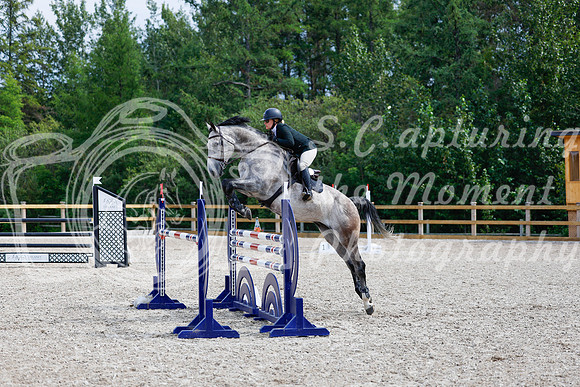 2025 - Haylee - Picco Horse Show - Sunday July 27th 05883