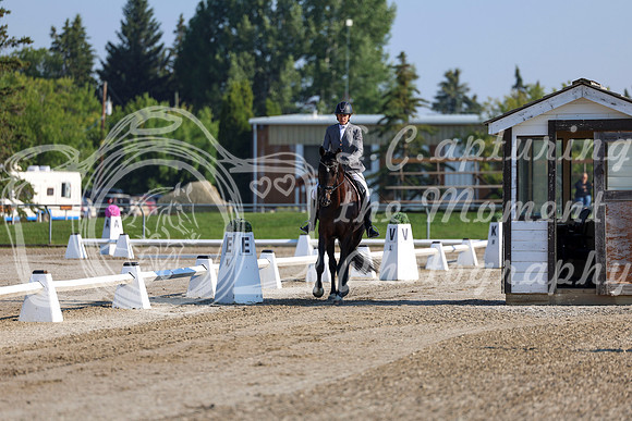 2025 - Dressage Festival - Saturday July 5th - 00097