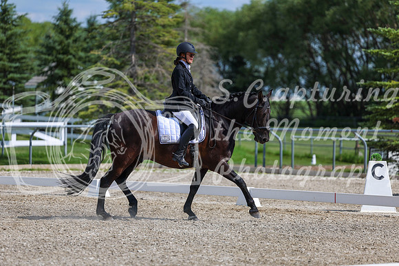 2025 - Dressage Festival - Saturday July 5th - 15233