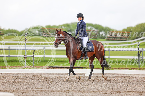 2025 - Dressage Festival - Sunday July 6th - 02141