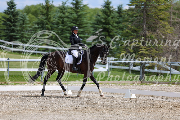 2025 - Dressage Festival - Saturday July 5th - 11463