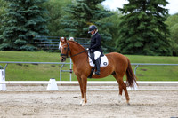 2025 - Dressage Festival - Saturday July 5th - 11185