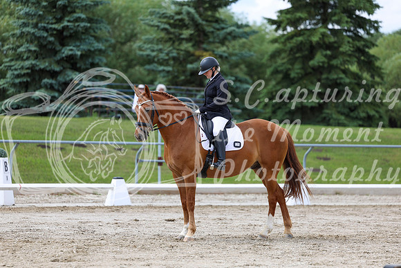 2025 - Dressage Festival - Saturday July 5th - 11185