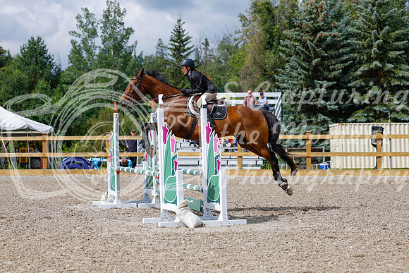 2025 - Haylee - Picco Horse Show - Sunday July 27th 02727
