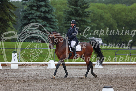 2025 - Dressage Festival - Sunday July 6th - 00349