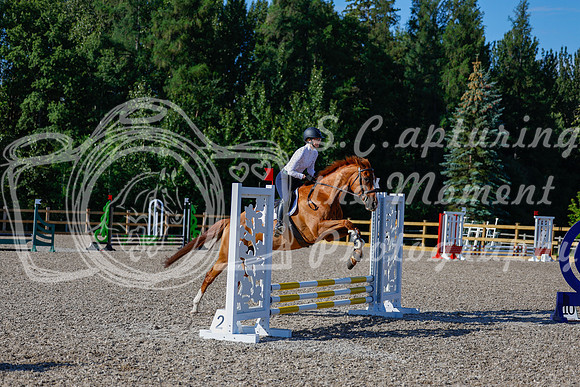 2025 - Haylee - Picco Horse Show - Thursday July 24th 00370