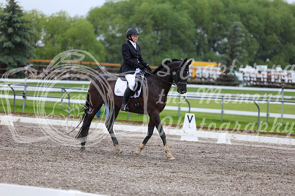 2025 - Dressage Festival - Sunday July 6th - 08126