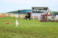 2025 - Shea - Teesdale - Thursday July 24th - 03900