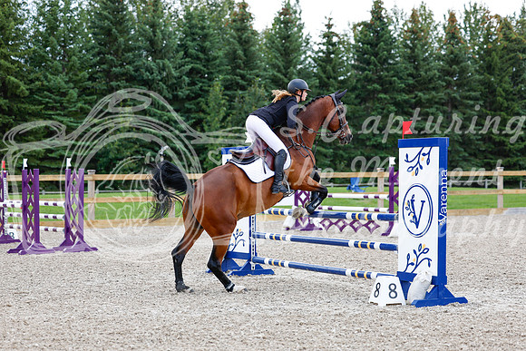 2025 - Haylee - Picco Horse Show - Sunday July 27th 04568