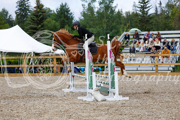 2025 - Haylee - Picco Horse Show - Sunday July 27th 02175
