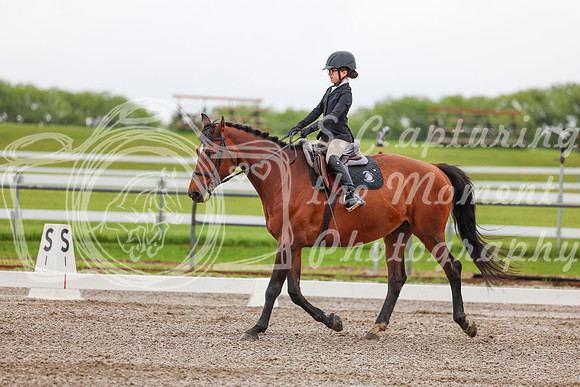 2025 - Dressage Festival - Sunday July 6th - 01842