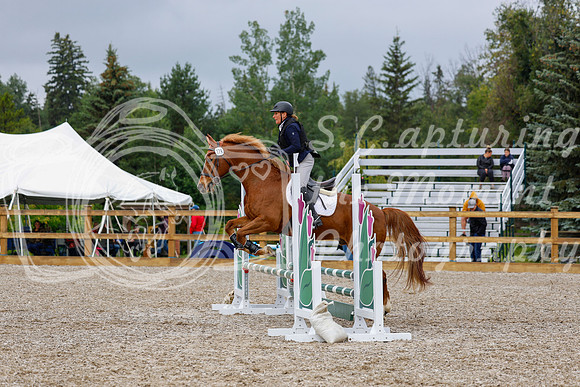 2025 - Haylee - Picco Horse Show - Sunday July 27th 01392