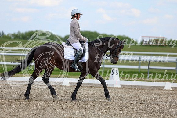 2025 - Dressage Festival - Saturday July 5th - 10678
