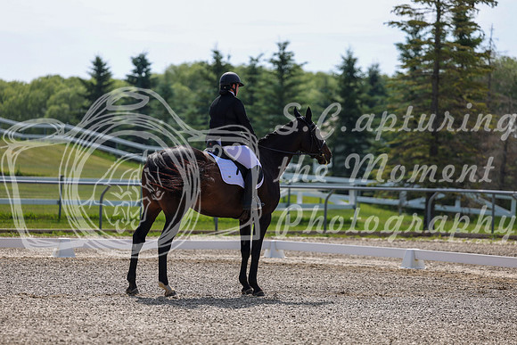 2025 - Dressage Festival - Saturday July 5th - 02969