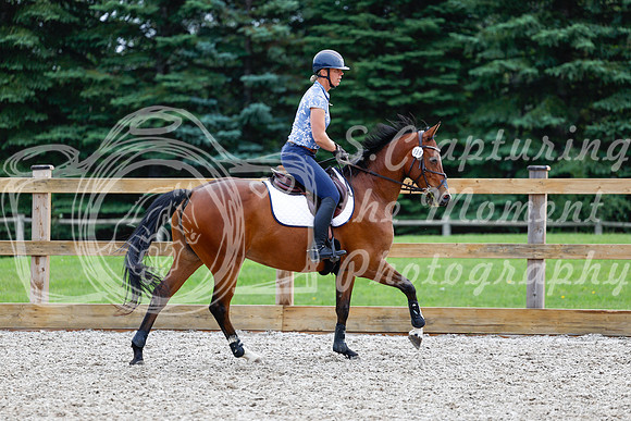 2025 - Haylee - Picco Horse Show - Saturday July 26th 02994