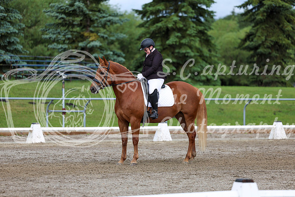2025 - Dressage Festival - Sunday July 6th - 11310