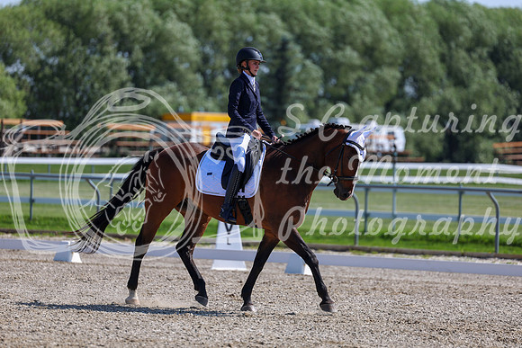 2025 - Dressage Festival - Saturday July 5th - 03983