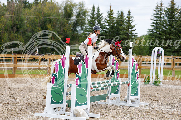 2025 - Haylee - Picco Horse Show - Saturday July 26th 04620