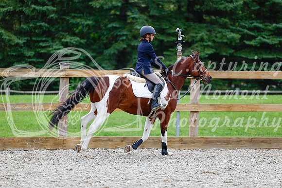 2025 - Haylee - Picco Horse Show - Saturday July 26th 01829